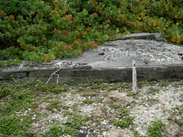 wake trip pillbox defensive structure bonnie gilbert collection 2011